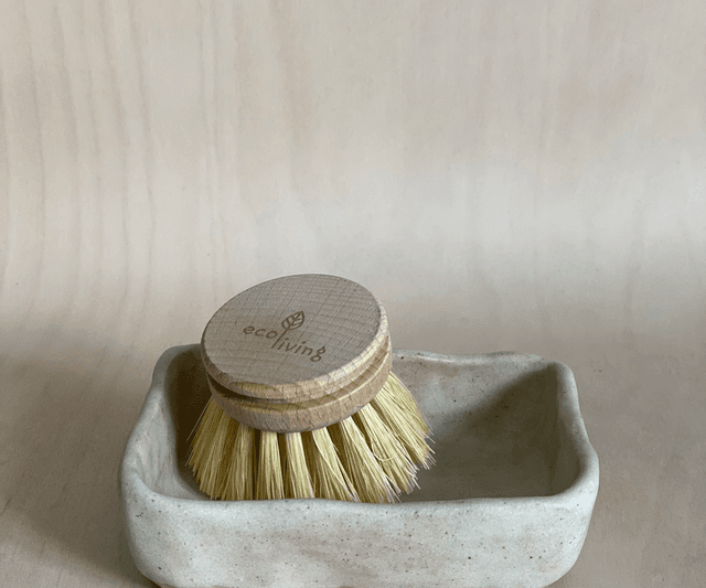 Dish brush dish 