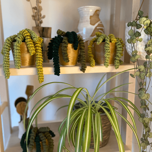 Crochet Succulent Planter 